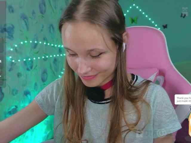 Armura webcam