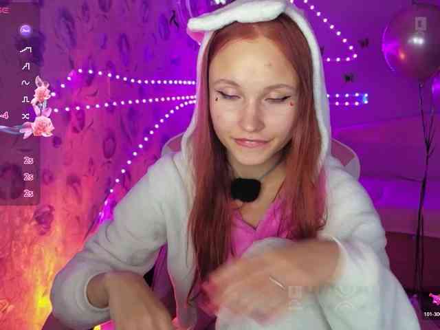 Armura webcam