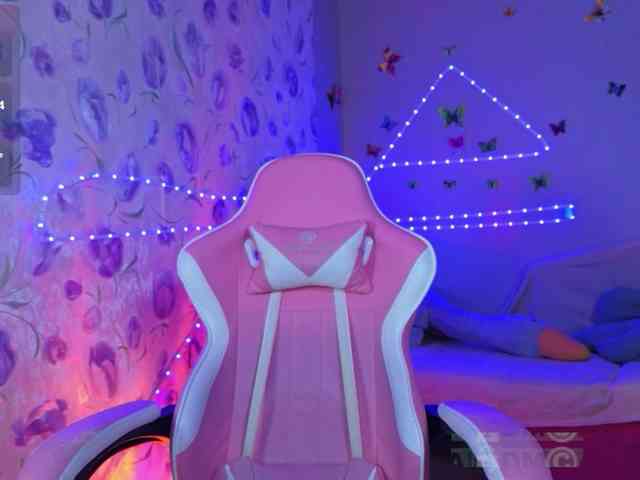Armura webcam