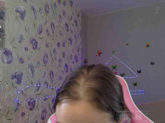 Armura webcam