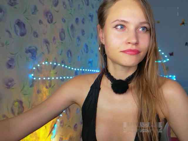 Armura webcam