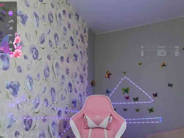 Armura webcam