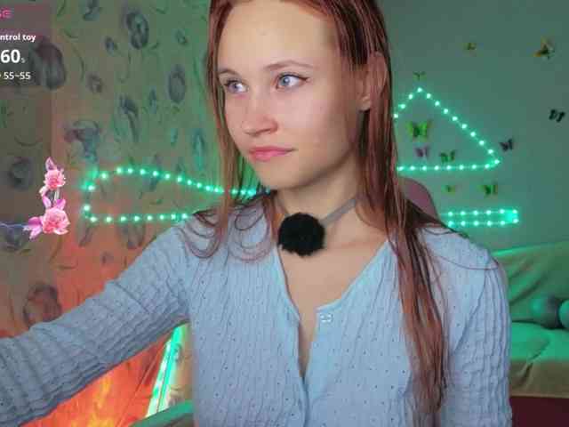 Armura webcam