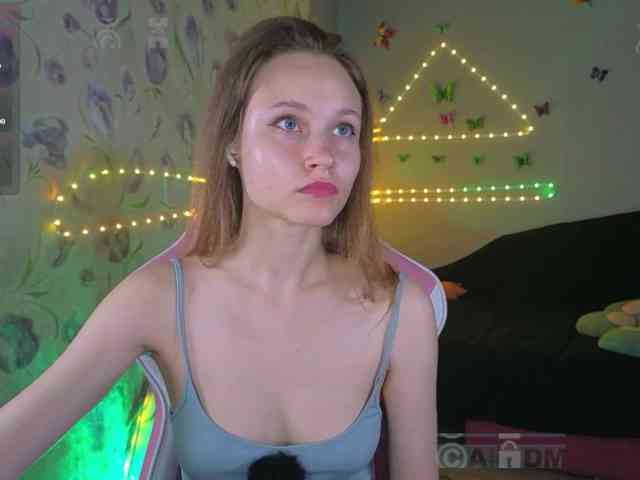 Armura webcam