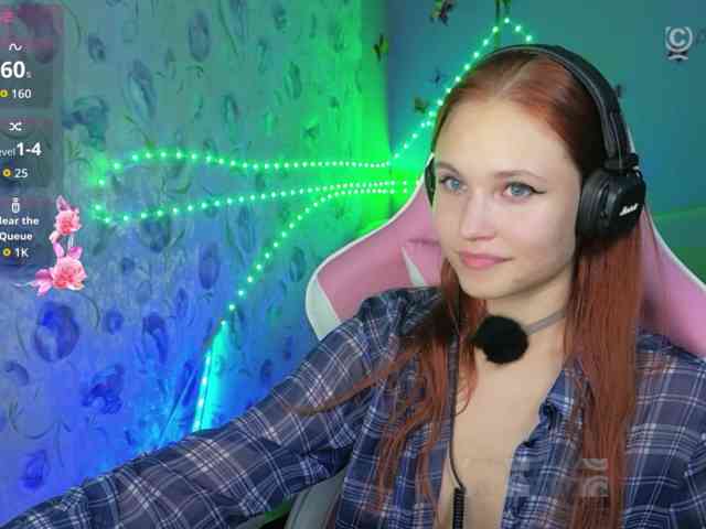 Armura webcam