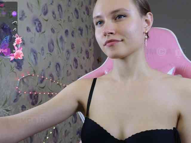 Armura webcam
