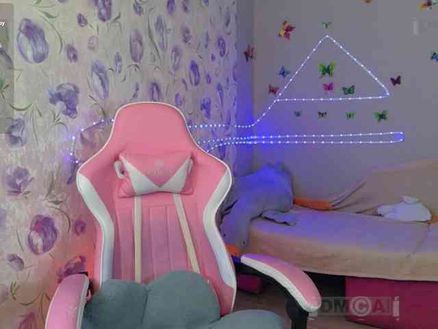 Armura webcam