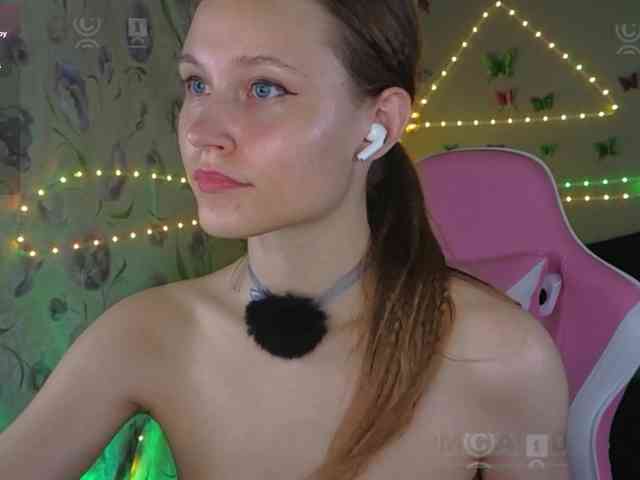 Armura webcam