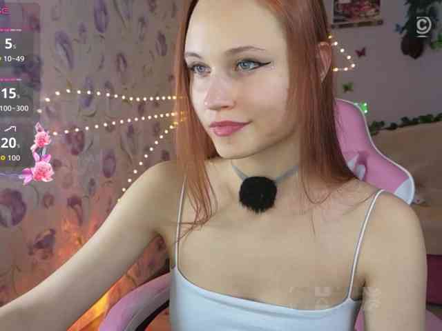 Armura webcam