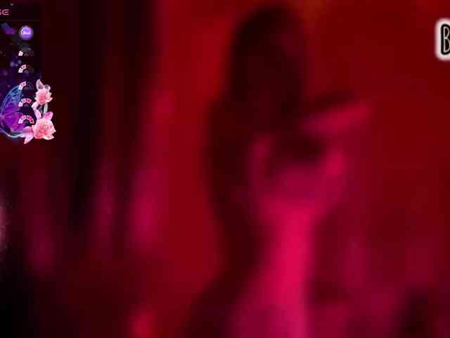 Armura webcam