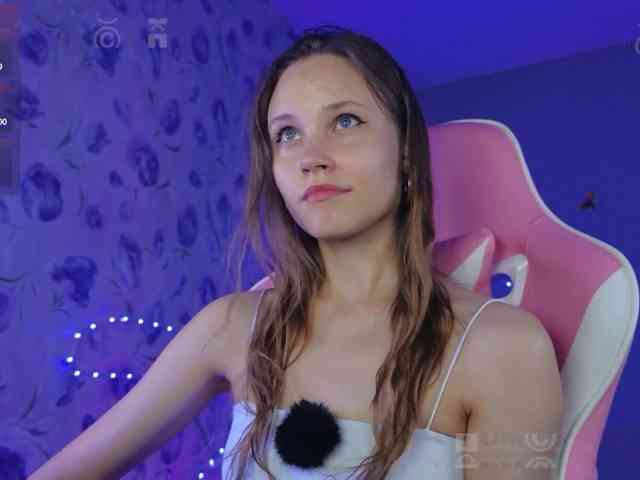 Armura webcam