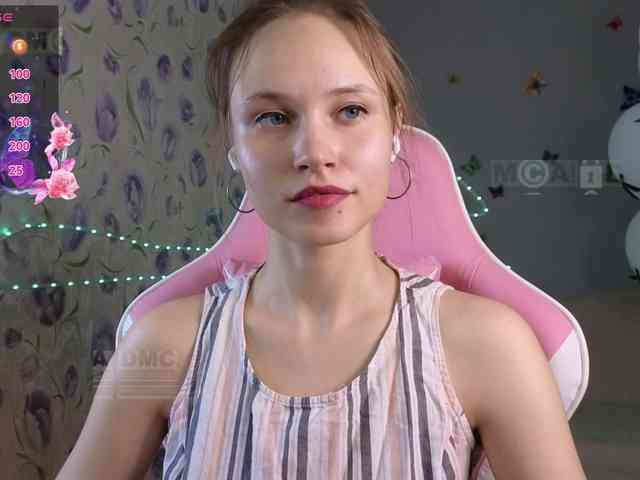 Armura webcam