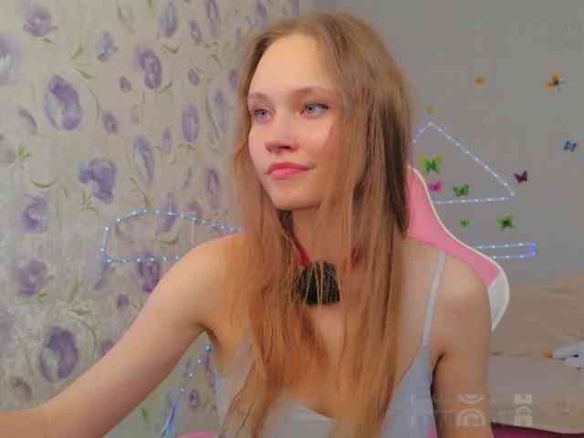 Armura webcam