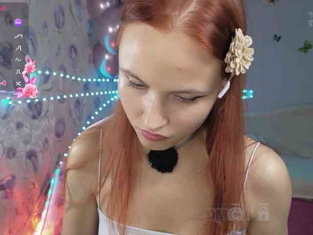 Armura webcam