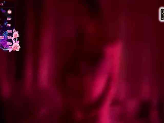Armura webcam