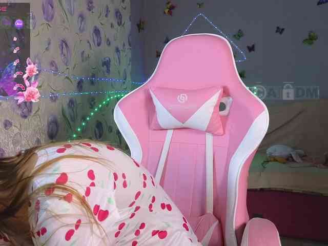 Armura webcam
