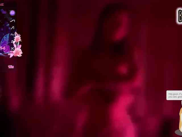 Armura webcam