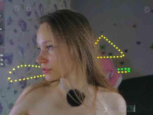 Armura webcam