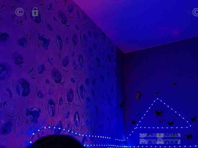 Armura webcam