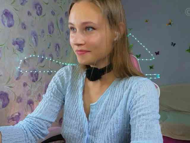 Armura webcam