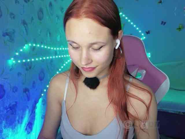 Armura webcam