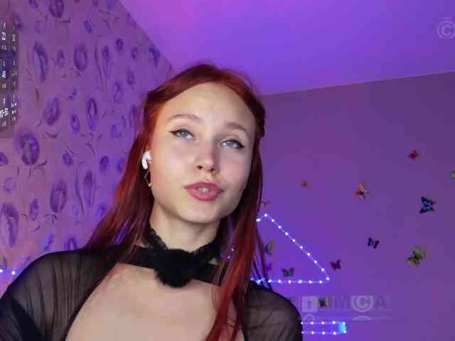 Armura webcam