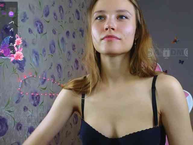 Armura webcam