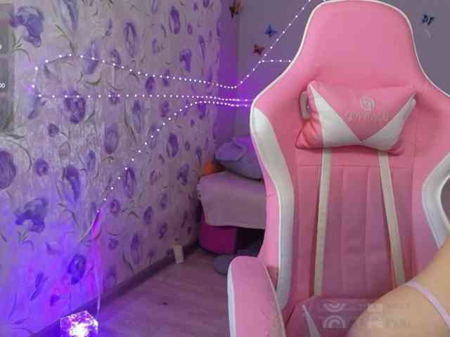 Armura webcam