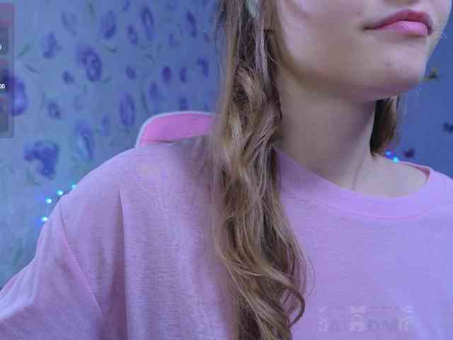 Armura webcam
