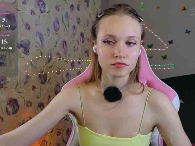 Armura webcam