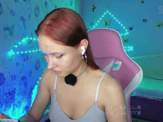 Armura webcam