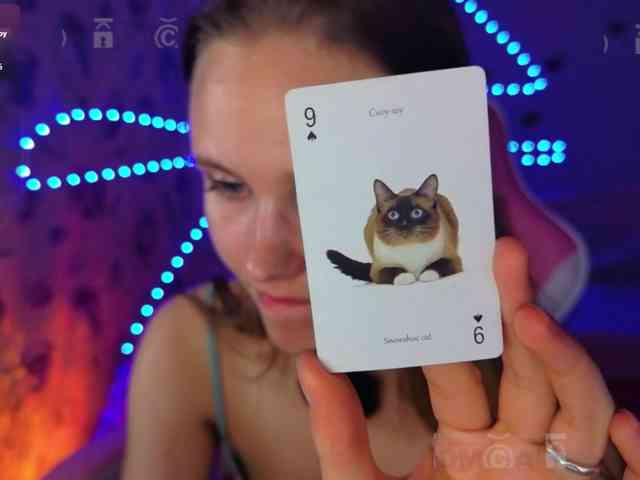 Armura webcam