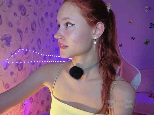 Armura webcam