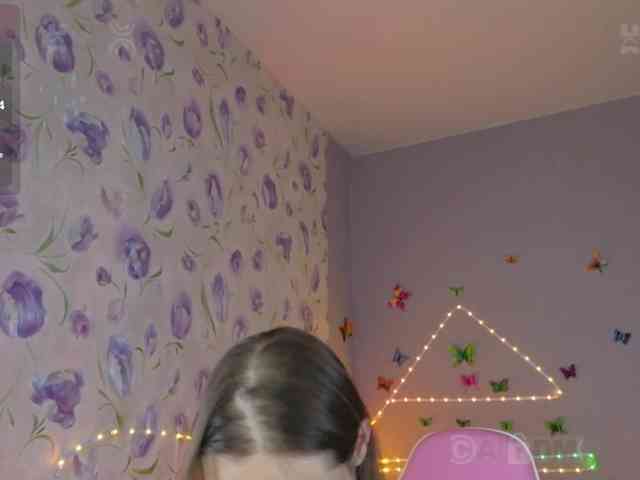 Armura webcam