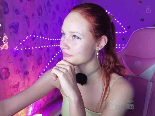 Armura webcam