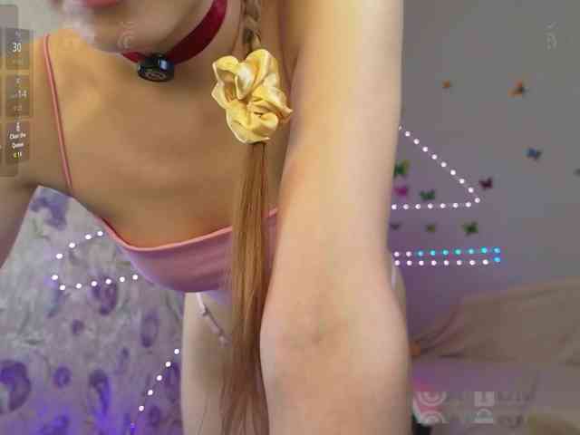 Armura webcam