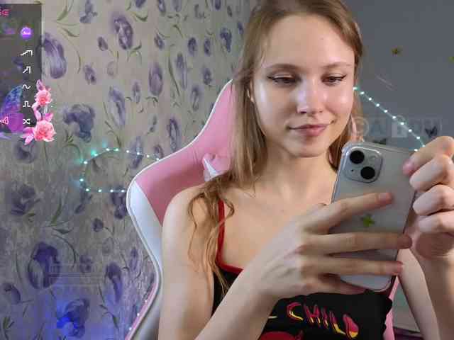 Armura webcam