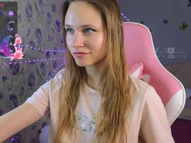 Armura webcam