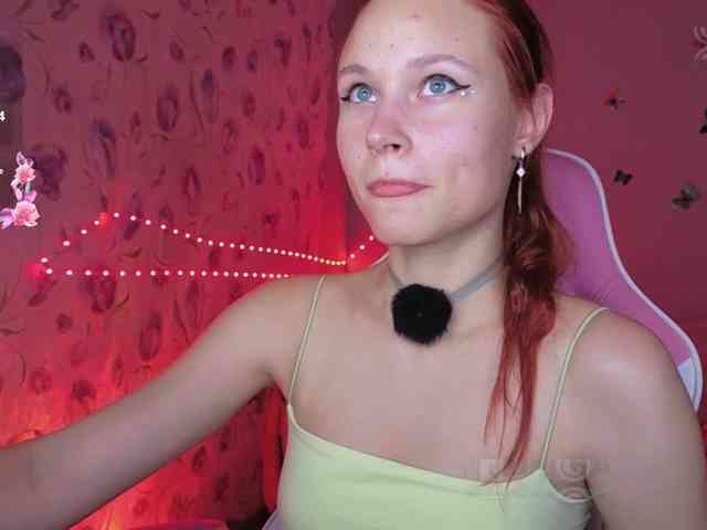 Armura webcam