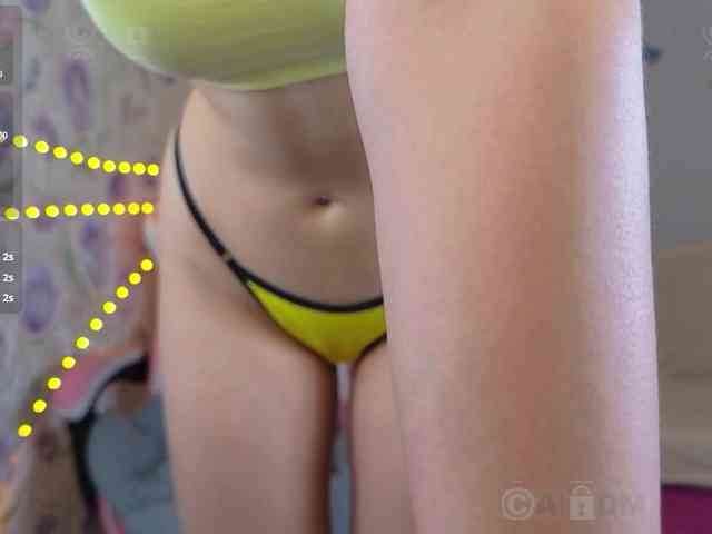 Armura webcam
