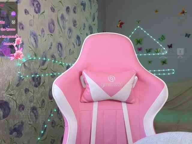 Armura webcam