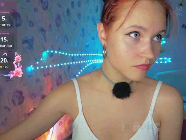 Armura webcam