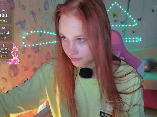 Armura webcam