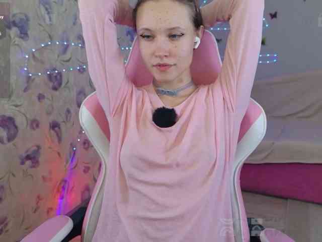 Armura webcam