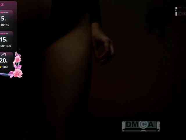 Armura webcam