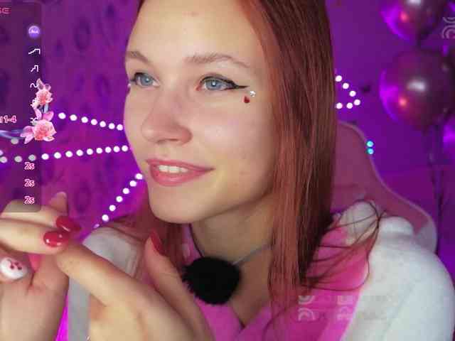 Armura webcam