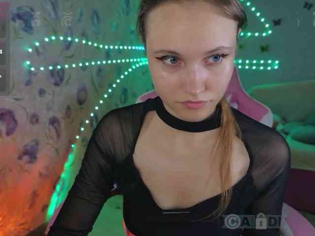 Armura webcam