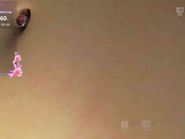 Armura webcam