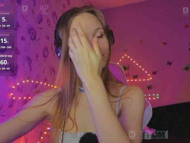 Armura webcam