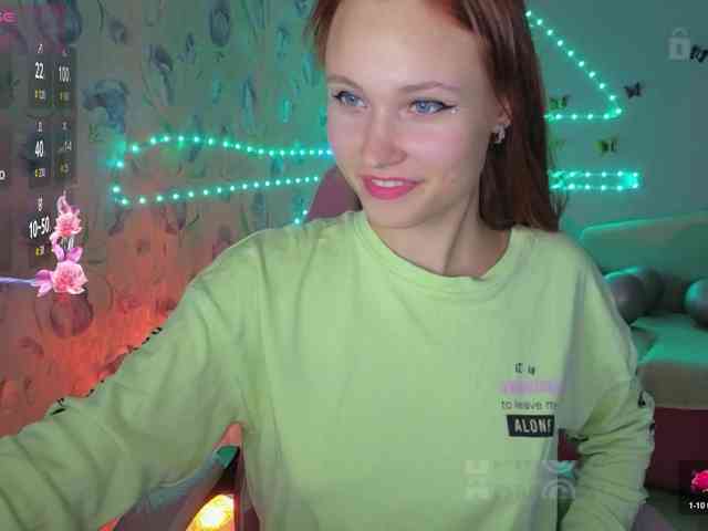 Armura webcam